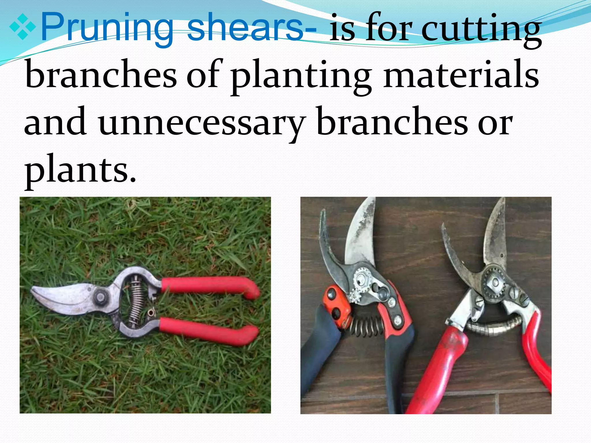 Pruning shears- is for cutting
branches of planting materials
and unnecessary branches or
plants.
 