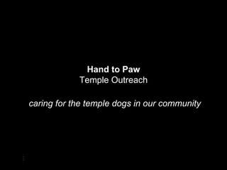 Hand to Paw Temple Outreach caring for the temple dogs in our community 