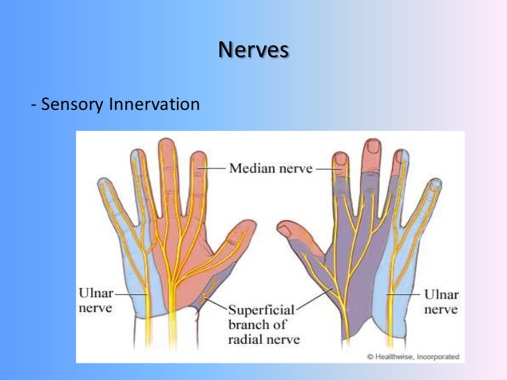 Hand trauma - soft tissue injuries overview ,principles of management