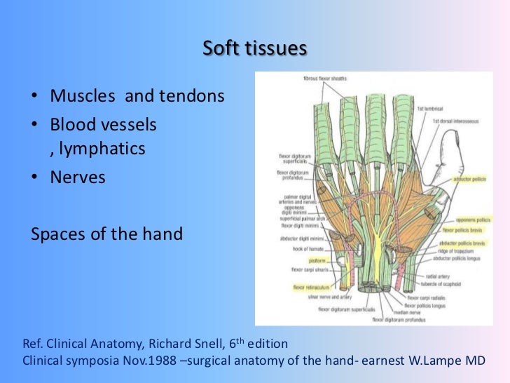 Hand trauma soft tissue injuries overview ,principles of management