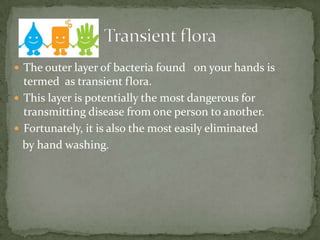  The outer layer of bacteria found on your hands is
termed as transient flora.
 This layer is potentially the most dangerous for
transmitting disease from one person to another.
 Fortunately, it is also the most easily eliminated
by hand washing.
 