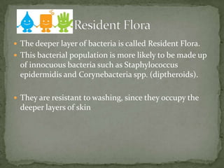  The deeper layer of bacteria is called Resident Flora.
 This bacterial population is more likely to be made up
of innocuous bacteria such as Staphylococcus
epidermidis and Corynebacteria spp. (diptheroids).
 They are resistant to washing, since they occupy the
deeper layers of skin
 