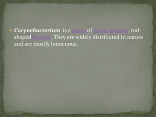  Corynebacterium is a genus of Gram-positive, rod-
shapedbacteria. They are widely distributed in nature
and are mostly innocuous.
 