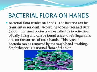 BACTERIAL FLORA ON HANDS
 Bacterial flora resides on hands. The bacteria can be
transient or resident. According to Smeltzer and Bare
(2000), transient bacteria are usually due to activities
of daily living and can be found under one’s fingernails
and on the surface of one’s hands. This type of
bacteria can be removed by thorough hand-washing.
Staphylococcus is normal flora of the skin.
 