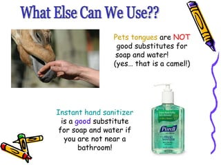 What Else Can We Use?? Instant hand sanitizer  is a  good  substitute for soap and water if you are not near a bathroom! Pets tongues  are  NOT  good substitutes for soap and water!  (yes… that is a camel!) 