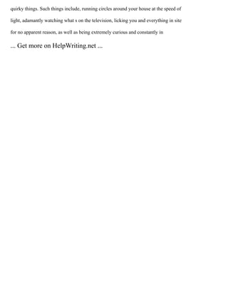 quirky things. Such things include, running circles around your house at the speed of
light, adamantly watching what s on the television, licking you and everything in site
for no apparent reason, as well as being extremely curious and constantly in
... Get more on HelpWriting.net ...
 