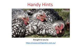Handy Hints
Brought to you by
https://www.earthgarden.com.au/
 