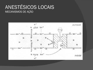 ANESTÉSICOS LOCAIS MECANISMOS DE AÇÃO 