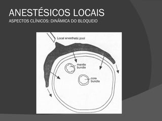 ANESTÉSICOS LOCAIS ASPECTOS CLÍNICOS: DINÂMICA DO BLOQUEIO 