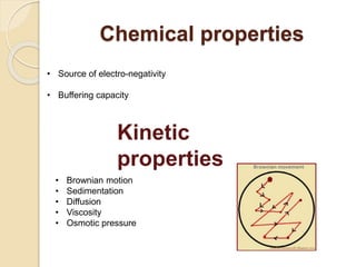 Chemical properties
• Source of electro-negativity
• Buffering capacity
Kinetic
properties
• Brownian motion
• Sedimentation
• Diffusion
• Viscosity
• Osmotic pressure
 