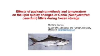 Effects of packaging methods and temperature
on the lipid quality changes of Cobia (Rachycentron
canadum) fillets during frozen storage
Thi Hang Nguyen,
Faculty of Food Science and Nutrition, University
of Iceland, hangnt@ntu.edu.vn
 