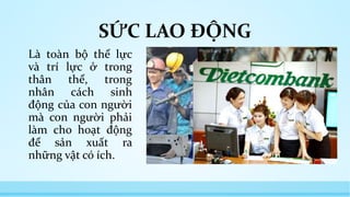 SỨC LAO ĐỘNG 
Là toàn bộ thể lực 
và trí lực ở trong 
thân thể, trong 
nhân cách sinh 
động của con người 
mà con người phải 
làm cho hoạt động 
để sản xuất ra 
những vật có ích. 
 