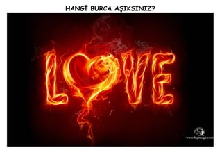 Hangi burca aşıksınız?