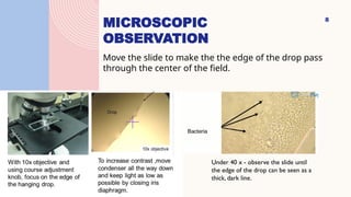 microbiology - HANGING DROP METHOD .pptx