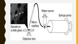 Hanging Drop Method_microbiology_KripaRaghunathan.pptx