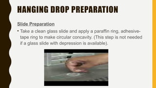 Hanging Drop Method_microbiology_KripaRaghunathan.pptx