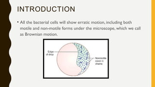 Hanging Drop Method_microbiology_KripaRaghunathan.pptx