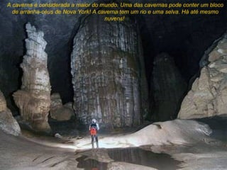 A caverna é considerada a maior do mundo. Uma das cavernas pode conter um bloco
  de arranha-céus de Nova York! A caverna tem um rio e uma selva. Há até mesmo
                                    nuvens!
 