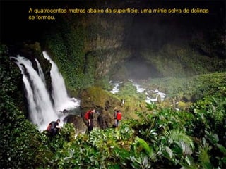 A quatrocentos metros abaixo da superfície, uma minie selva de dolinas
se formou.
 