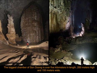 The biggest chamber of Son Doong is over five kilometers in length, 200 meters high and 150 meters wide.  
