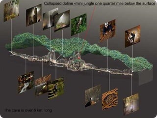 The cave is over 6 km. long Collapsed doline -mini jungle one quarter mile below the surface 