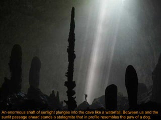 An enormous shaft of sunlight plunges into the cave like a waterfall. Between us and the sunlit passage ahead stands a stalagmite that in profile resembles   the paw of a dog.   