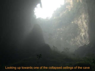 Looking up towards one of the collapsed ceilings of the cave 