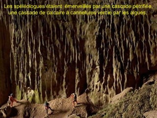 Les spéléologues étaient émerveillés par une cascade pétrifiée,
une cascade de calcaire à cannelures verdie par les algues.
 