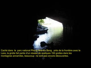 Caché dans le parc national Phong Nha-Ke Bang, près de la frontière avec le
Laos, la grotte fait partie d'un réseau de quelques 150 grottes dans les
montagnes annamites, beaucoup ne sont pas encore découvertes.
 