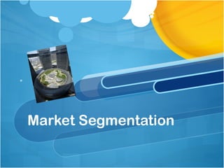 Market Segmentation
。
 