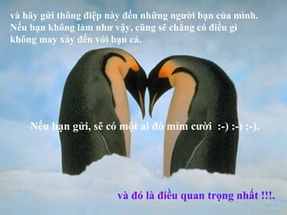 và hãy gửi thông điệp này đến những người bạn của mình.  Nếu bạn không làm như vậy, cũng sẽ chẳng có điều gì không may xảy đến với bạn cả. Nếu bạn gửi, sẽ có một ai đó mỉm cười  :-) :-) :-). và đó là điều quan trọng nhất !!!. 