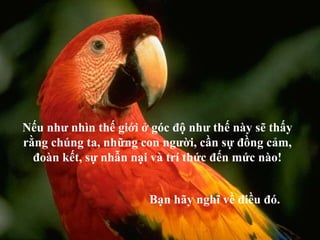 Nếu như nhìn thế giới ở góc độ như thế này sẽ thấy rằng chúng ta, những con người, cần sự đồng cảm, đoàn kết, sự nhẫn nại và trí thức đến mức nào! Bạn hãy nghĩ về điều đó. 
