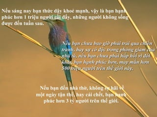 Nếu sáng nay bạn thức dậy khoẻ mạnh, vậy là bạn hạnh phúc hơn 1 triệu người rồi đấy, những người không sống được đến tuần sau. Nếu bạn chưa bao giờ phải trải qua chiến tranh, hay sự cô độc trong phòng giam của nhà tù, nếu bạn chưa phải hấp hối vì đói khát, bạn hạnh phúc hơn, may mắn hơn 500 triệu người trên thế giới này.   Nếu bạn đến nhà thờ, không sợ hãi về một ngày tận thế, hay cái chết, bạn hạnh phúc hơn 3 tỷ người trên thế giới. 