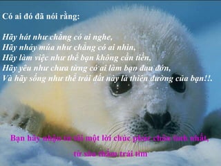 Có ai đó đã nói rằng: Hãy hát như chẳng có ai nghe, Hãy nhảy múa như chẳng có ai nhìn, Hãy làm việc như thể bạn không cần tiền, Hãy yêu như chưa từng có ai làm bạn đau đớn, Và hãy sống như thể trái đất này là thiên đường của bạn!!. Bạn hãy nhận từ tôi một lời chúc phúc chân tình nhất,  từ sâu thẳm trái tim 