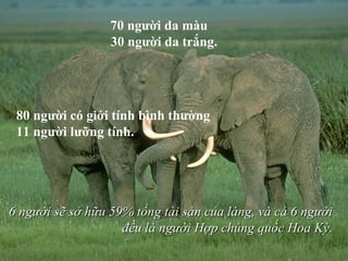70 người da màu   30 người da trắng. 80 người có giới tính bình thường 11 người lưỡng tính. 6 người sẽ sở hữu 59% tổng tài sản của làng, và cả 6 người  đều là người Hợp chủng quốc Hoa Kỳ.   
