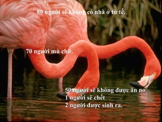 80 người sẽ không có nhà ở tử tế. 70 người mù chữ. 50 người sẽ không được ăn no 1 người sẽ chết 2 người được sinh ra. 