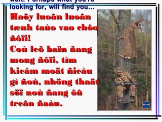 wait. Perhaps what you're
looking for, will find you…
Haõy luoân luoân
tænh taùo vaø chôø
ñôïi!
Coù leõ baïn ñang
mong ñôïi, tìm
kieám moät ñieàu
gì ñoù, nhöng thaät
söï noù ñang ôû
treân ñaàu.
 
