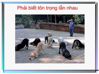 Phải biết tôn trọng lẫn nhau
 