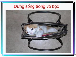 Đừng sống trong vỏ bọc
 