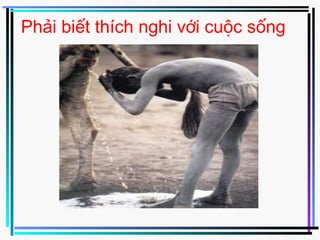 Phải biết thích nghi với cuộc sống
 
