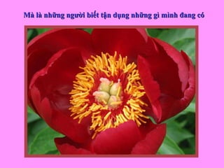 Mà là những người biết tận dụng những gì mình đang có 