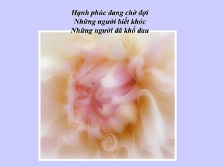 Hạnh phúc đang chờ đợi Những người biết khóc Những người đã khổ đau 