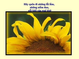 H ãy quên đi những lỗi lầm,  những niềm đau, nỗi khổ của quá khứ 