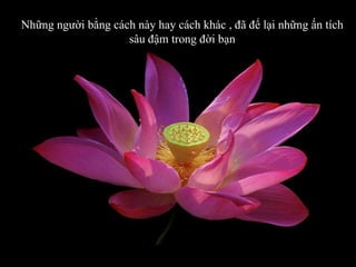 Những người bằng cách này hay cách khác , đã để lại những ấn tích sâu đậm trong đời bạn 