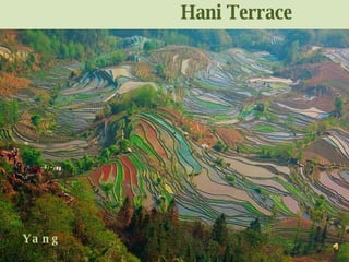 Hani Terrace Yang 