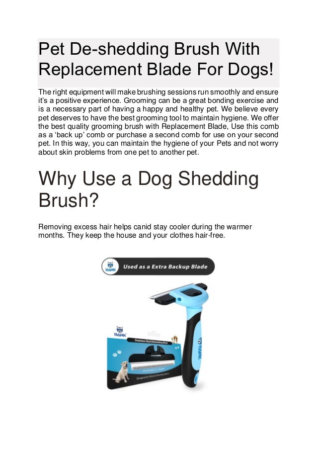 Why Use a Dog Shedding Brush?