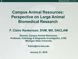 Campus Animal Resources:
Perspective on Large Animal
Biomedical Research
F. Claire Hankenson, DVM, MS, DACLAM
Director, Campus Animal Resources;
Professor, Pathology & Diagnostic Investigation, CVM;
Michigan State University
fclaire@ora.msu.edu
January 21, 2016
 