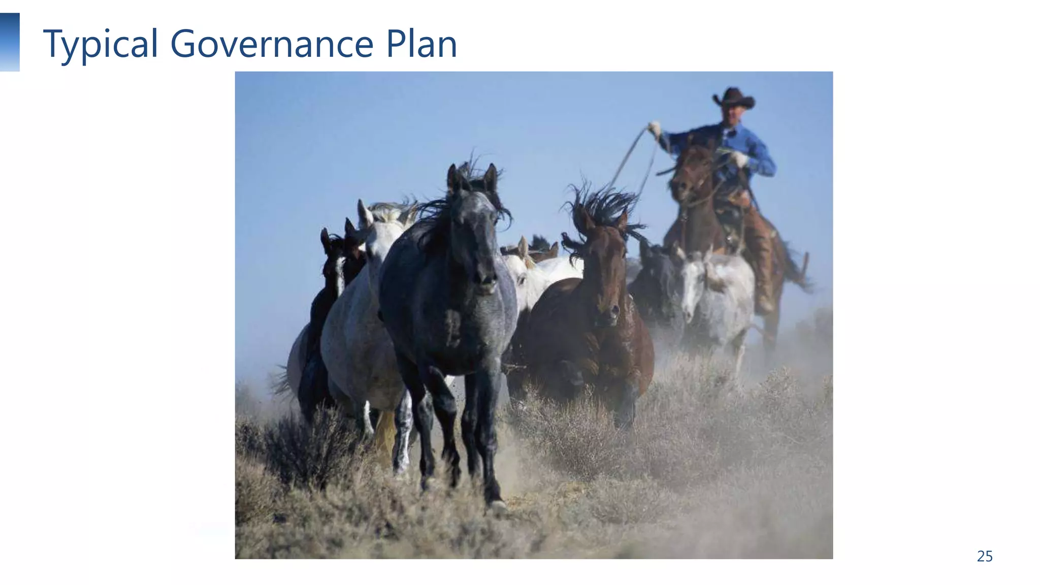 Typical Governance Plan

25

 