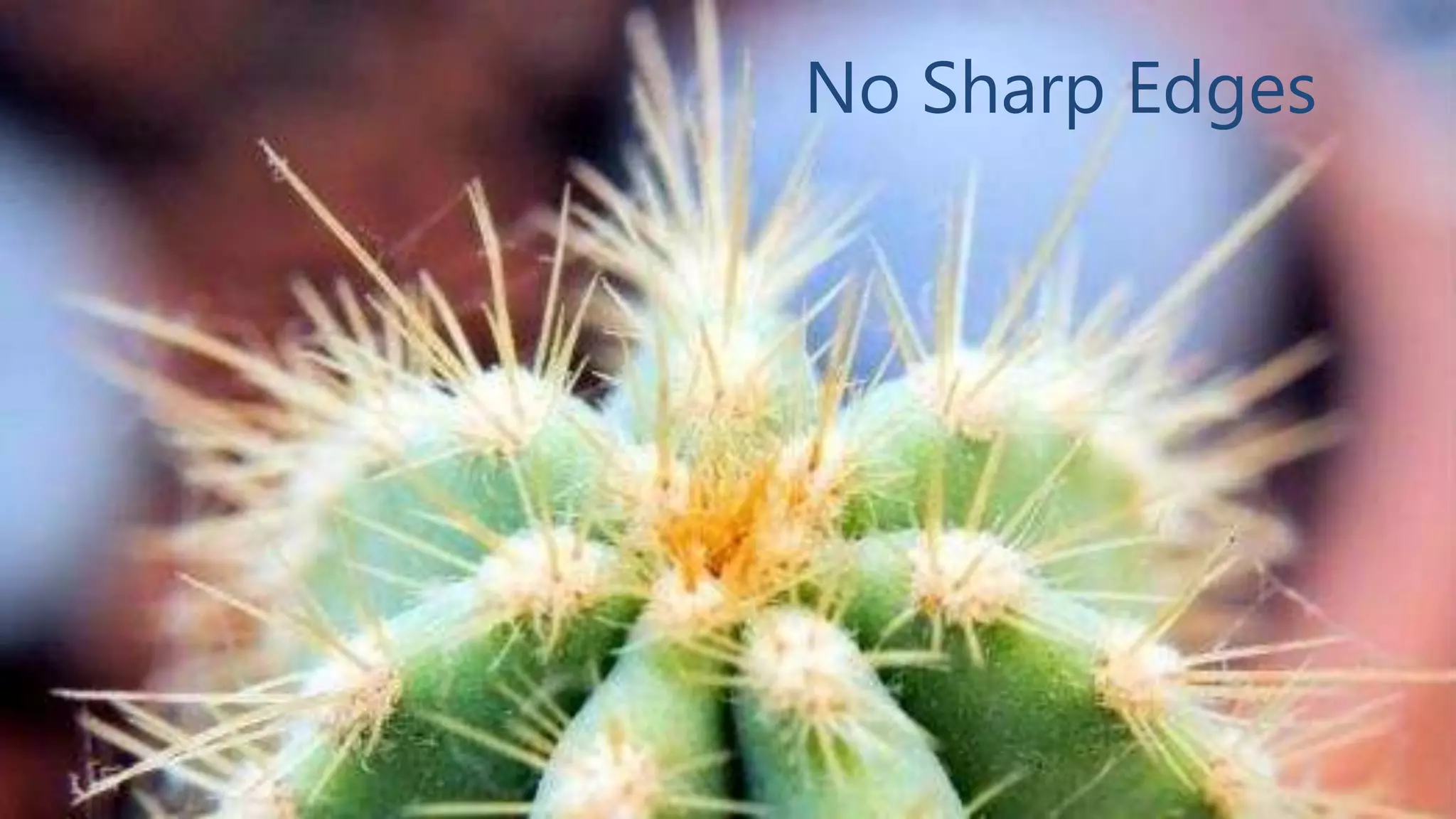 No Sharp Edges

Governance in Three Words

8

 