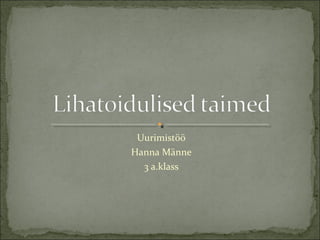 Uurimistöö
Hanna Männe
  3 a.klass
 